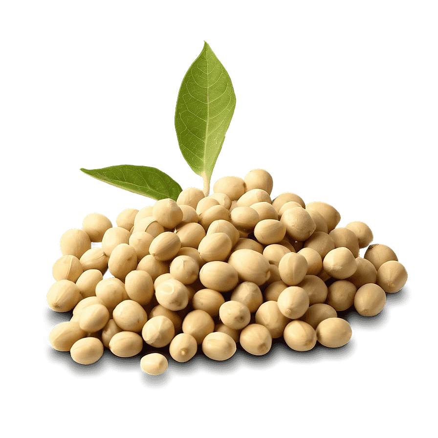 reliable soybean supplier